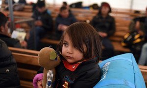 A young child holds a toy as she seeks shelter with other Afghan refugees from very cold, wet weather conditions at the Tabanovce reception centre for refugees in the former Yugoslav Republic of Macedonia after being refused entry into Serbia. February 2016.