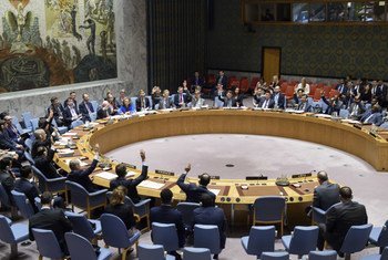 Le Conseil de sécurité lors d'un réunion sur la situation en Libye en juin 2018.