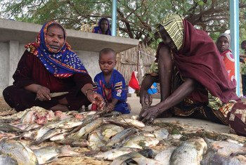 More women are involved in catching and preparing fish for sale in the Lake Chad Basin region of central Africa.