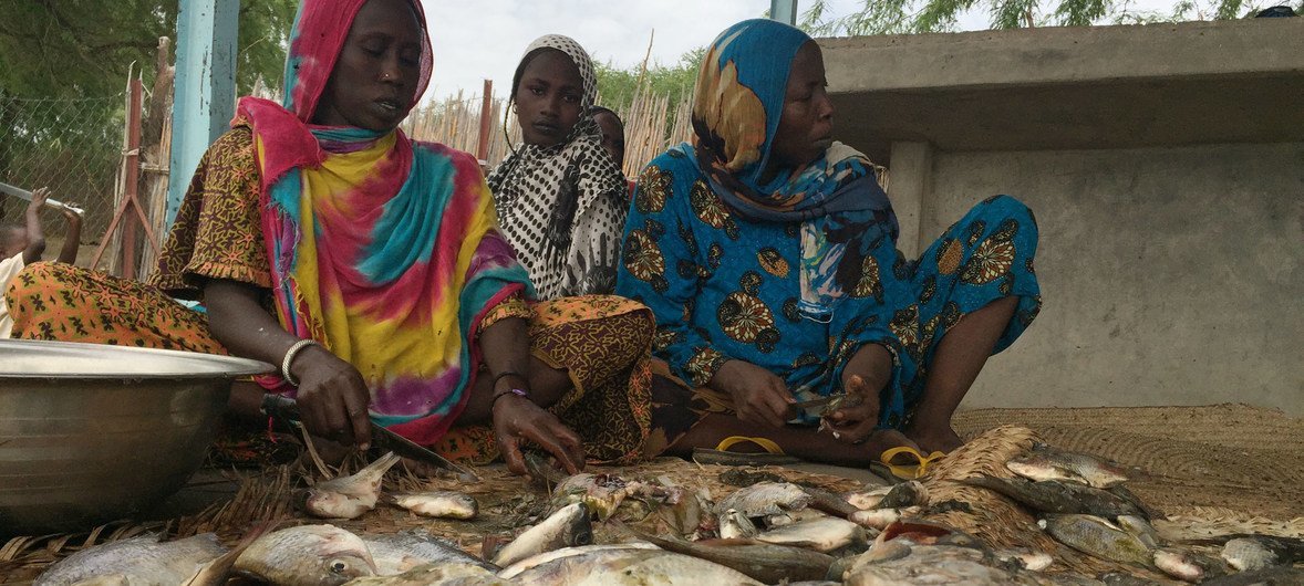 Des femmes pêcheuses du lac Tchad ont reçu de nouveaux filets de la part du Programme des Nations Unies pour le développement (PNUD) afin de pouvoir attraper davantage de poissons.