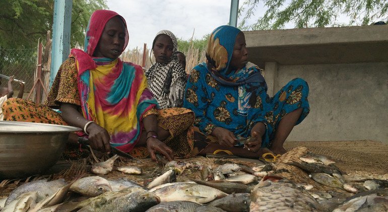 More women are involved in catching and preparing fish for sale in the Lake Chad Basin.  The lake has shrunk to one tenth of its original size, largely due to unsustainable water management and climate change.