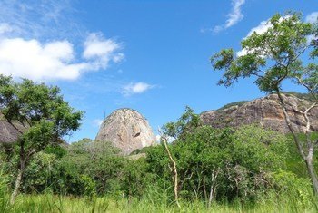 Reserva da biosfera de Quirimbas, em Moçambique. 