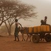 Une famille part chercher de l'eau au Burkina Faso, où des centaines de milliers de personnes sont confrontées à l'insécurité alimentaire.