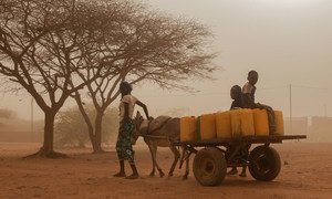 A family go in search of water in Burkina Faso where more than 950,000 people are severely food insecure, notably in the conflict-hit northern regions.