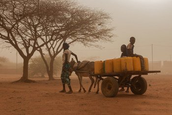 A family goes in search of water in Burkina Faso where more than 950,000 people are severely food insecure, notably in the conflict-hit northern regions.
