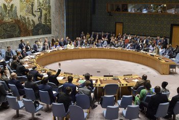 Le Conseil de sécurité en session.