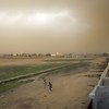 Des enfants courent alors qu'une tempête approche à Gao, au Mali.