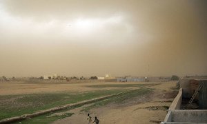 Des enfants courent alors qu'une tempête approche à Gao, au Mali.
