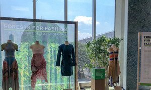UN agencies-backed "Forests for Fashion" exhibit 