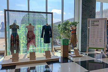 UN agencies-backed "Forests for Fashion" exhibit 