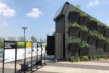 UN Environment (UNEP) and Yale University's Ecological Living Module; a sustainable tiny house exhibited at UN Headquarters in New York.