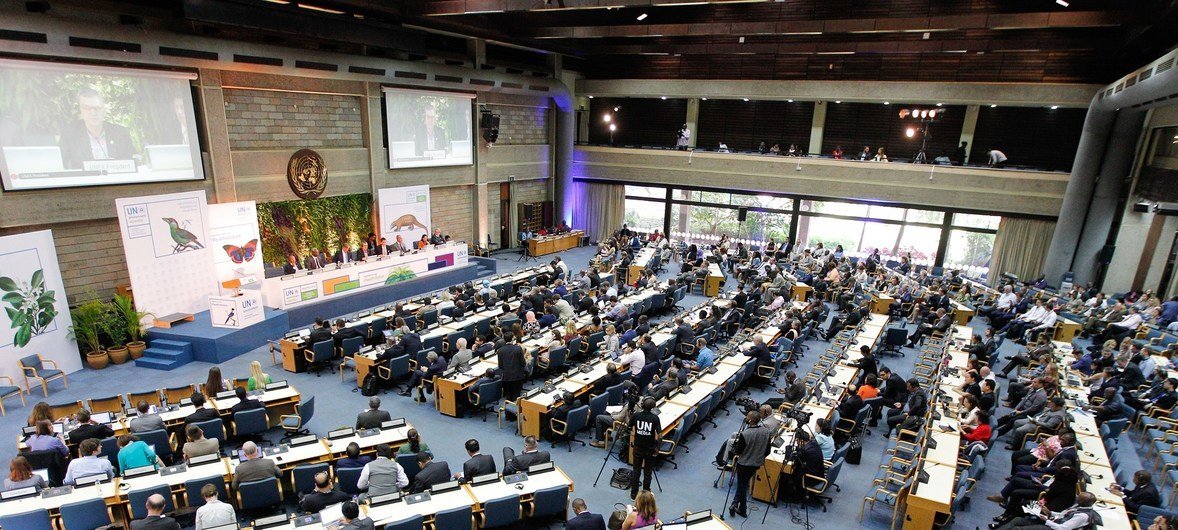 The closing plenary of the Third session of the UN Environment Assembly on 6 December 2017 in Nairobi, Kenya. 