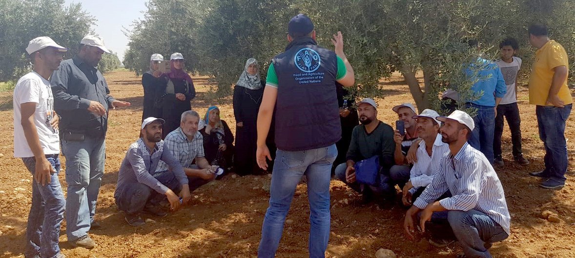 منظمة الأغذية والزراعة تنظم مشاريع تدريبية زراعية لدعم الشباب اللاجئين من أجل دمجهم في المجتمع التركي