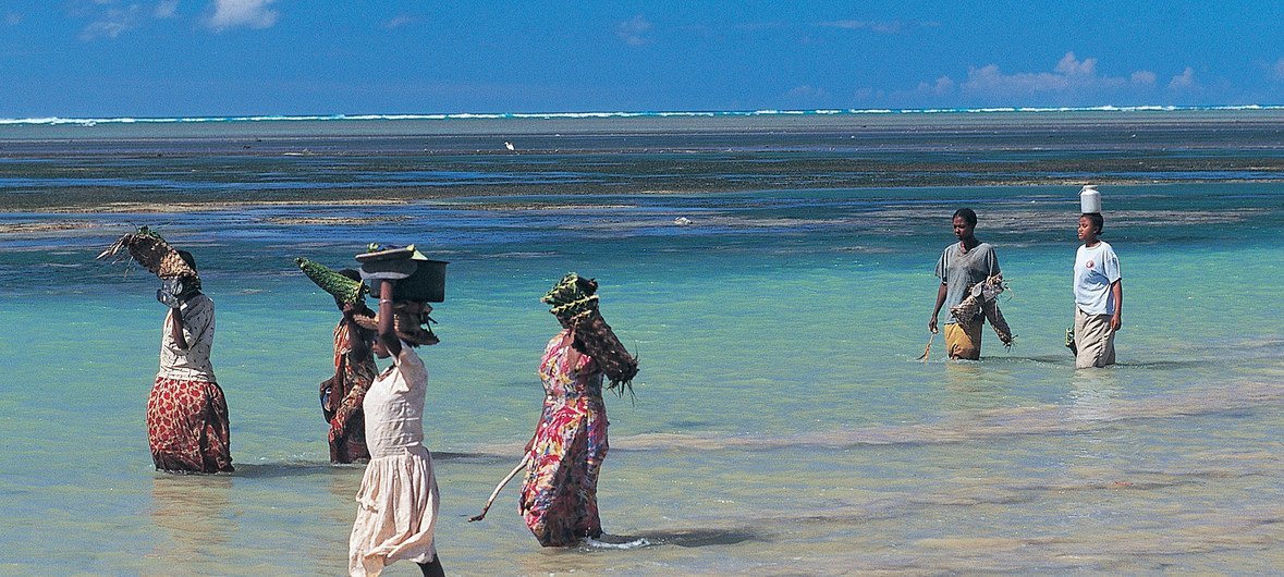 Farmers and fisherfolk successful  the Comoros Islands are needing to accommodate  to clime  change.