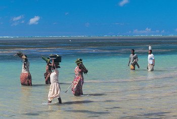 Los pescadores de las Islas Comoras buscan adaptarse al cambio climático.