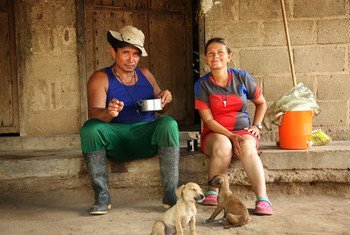 Trabajadores de la Granja Nueva Colombia comienzan a trabajar en el campo desde el amanecer.