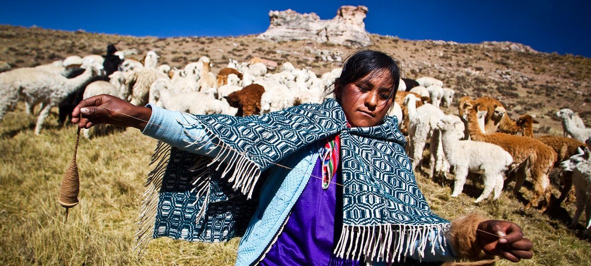 A young Nuñoan woman, part of the Quechua indigenous peoples in Peru, spinning yarn following training in traditional handicraft techniques.