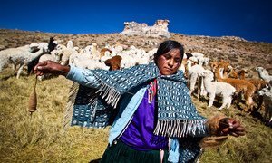 Una joven de Nuñoa, indígenas en parte quechuas de Perú, hila alpaca a mano.