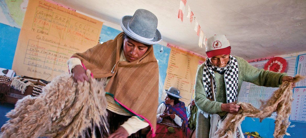 Переработка шерсти ламы и альпаки - один из основных промыслов коренных народов Перу