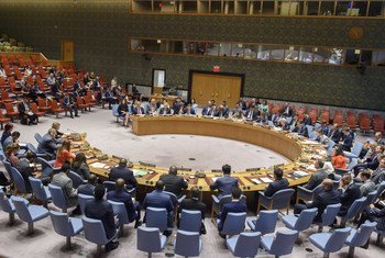 Representante especial do secretário-geral no Iraque, Jan Kubis, falou ao Conselho de Segurança nesta quarta-feira.