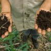 Healthy soils help grow our food, clean our water, store carbon, and reduce risks of droughts and floods.
