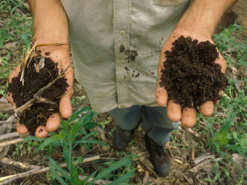Des sols sains aident à produire notre nourriture, purifier notre eau, stocker du carbone et réduire les risques de sécheresse et d'inondation.