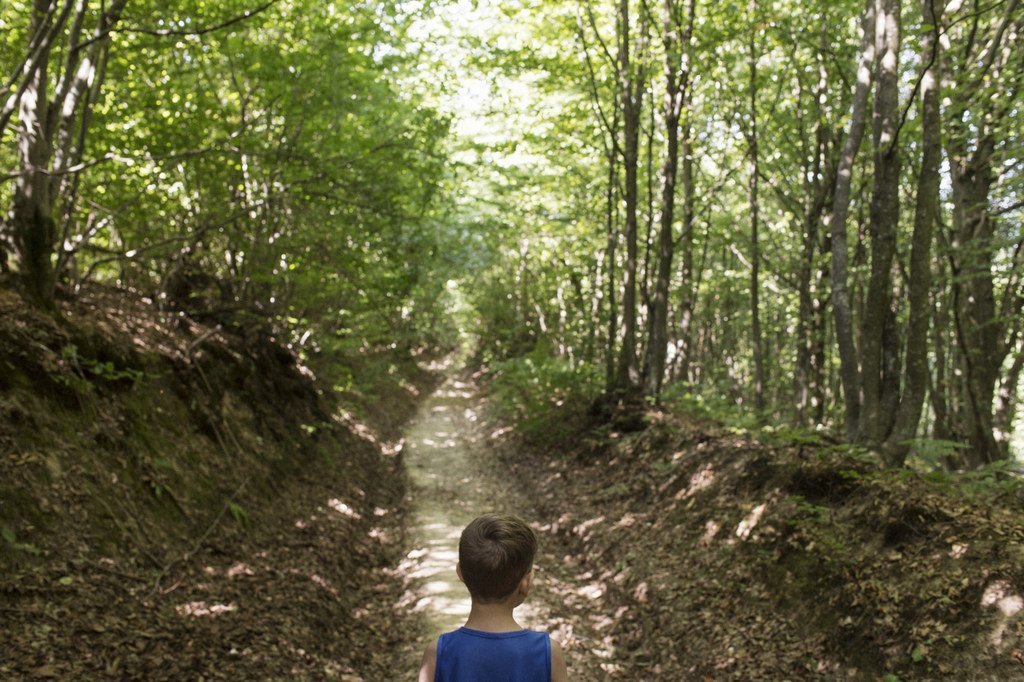 Un enfant marchant dans une forêt.