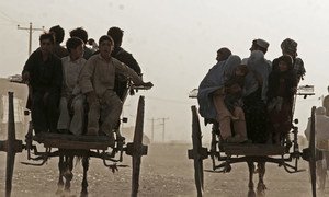 Un cessez-le-feu conditionnel a été annoncé en Afghanistan pour la fête de l’Aïd al-Adha. Dans la ville d'Herat, les gens continuent leur vie quotidienne.