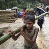 A  boy carries one of the bamboo poles, which were unloaded near the settlement for use in building basic shelters, in Cox's Bazar, Bangladesh, on 8 July 2018.