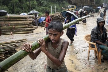 A  boy carries one of the bamboo poles, which were unloaded near the settlement for use in building basic shelters, in Cox's Bazar, Bangladesh, on 8 July 2018.