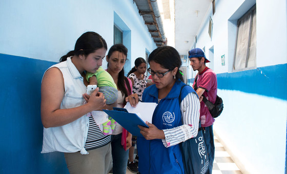 Organização Internacional para Migração (OIM)  presta apoio a refugiados venezuelanos