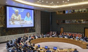 Заседание Совета Безопасности ООН по ДРК 