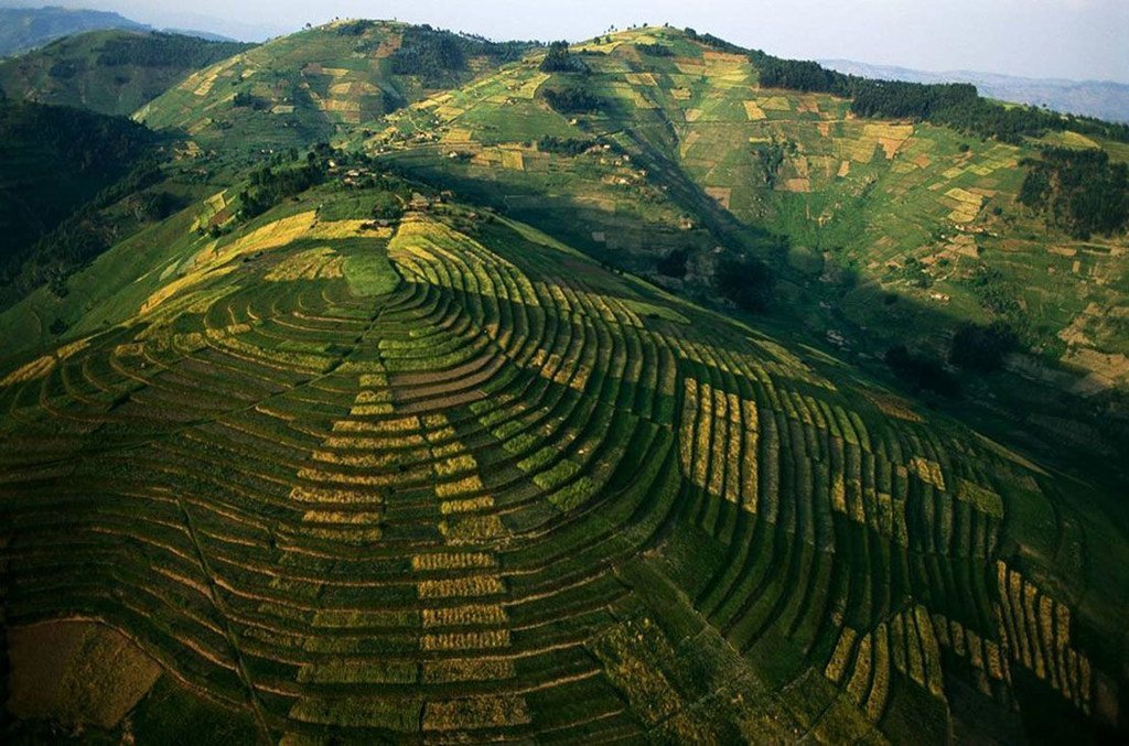 Rwanda-Nord-Karongi Cet endroit était une zone à haut risque pour les populations, après la relocalisation, c'est maintenant une montagne verte faite de terrasses.