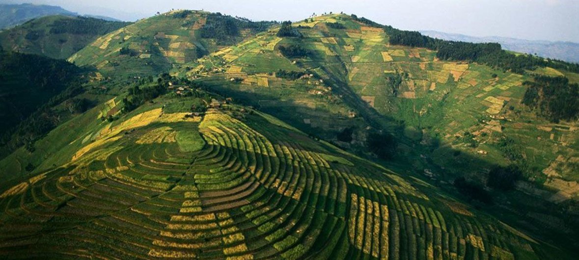 Rwanda-Northern-Karongi this place was high risk zone for people, after relocation now is a green mountain made of terraces. 