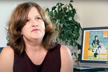 Cindy Holleman, Senior Economist at the Food and Agriculture Organization (FAO).