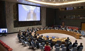 L’Envoyé spécial du Secrétaire général pour le Yémen, Martin Griffiths, intervenant devant le Conseil de sécurité des Nations Unies par visioconférence (archive)