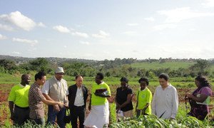 Un evento de Cooperación Sur-Sur de la FAO reúne a expertos Chinos con agricultores de Uganda.