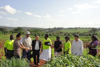 La coopération Sud-Sud de la FAO encourage la collaboration et le partage des connaissances entre les experts chinois et les agriculteurs ougandais.