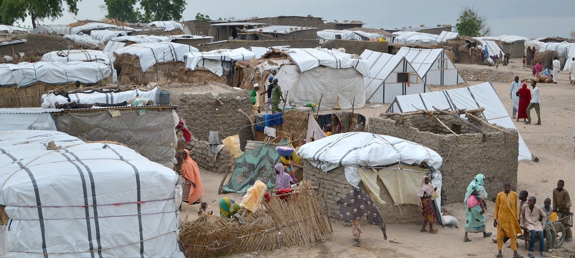 مخيم للمتضررين من النزاع في شمال شرق نيجيريا. صورة أرشيفية