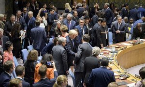 UN Security Council members, including US President Donald Trump (c), gather in the chamber ahead of a debate on the non-proliferation of weapons of mass destruction on 26 September 2018.