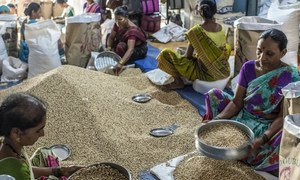 Trabajadoras examinan semillas en un mercado de Mumbai, India.