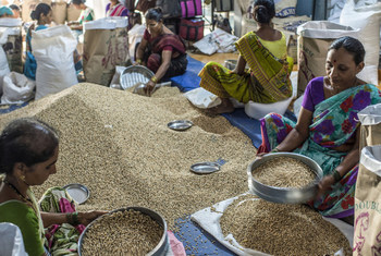 Trabajadoras examinando semillas en un mercado de Mumbai, India.