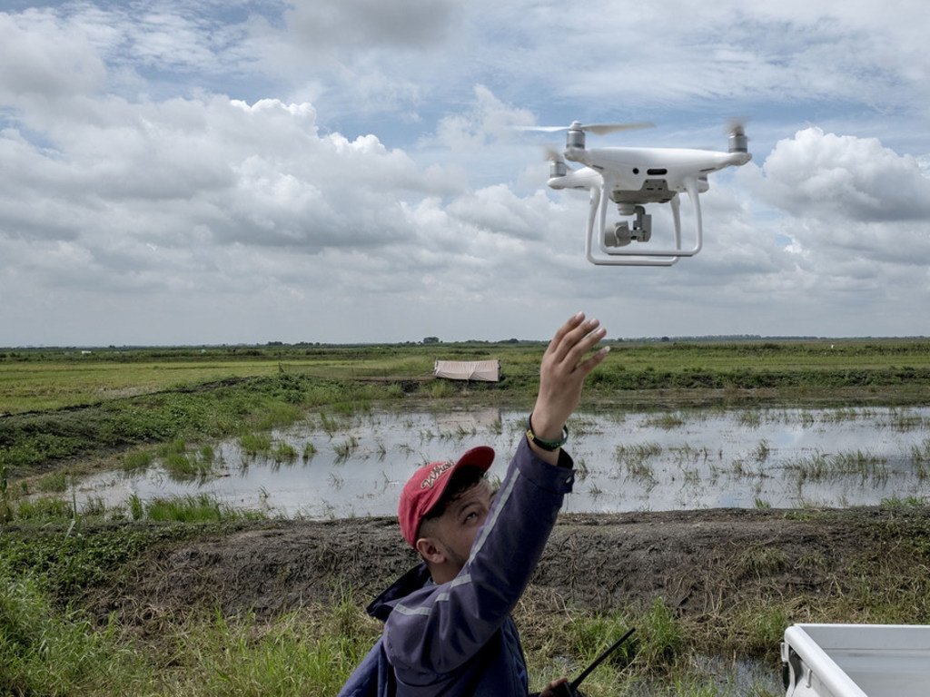 Une équipe d'experts du ministère de l'agriculture collabore avec la FAO pour utiliser des drones afin de recueillir des données visuelles sur les cultures de riz récemment endommagées dans la ville de Magalang, dans la province de Pampanga (Philippines).