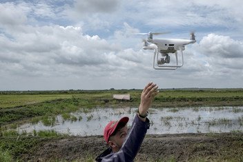 04 JULY 2018, PAMPANGA, PHILIPPINES - A team of experts from the Department of Agricultire work together with Food and Agriculture Organization for the United Nations in using drones in gathering visual data on recently damaged rice crops in Magalang town