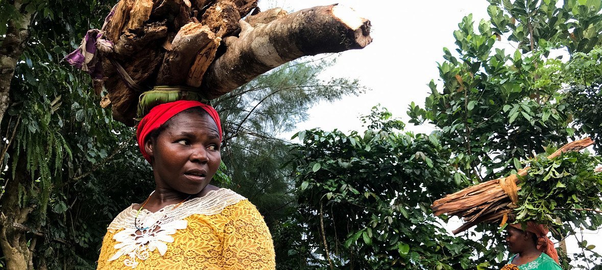 西印度洋岛国科摩罗昂儒昂岛，妇女头顶着从森林中砍伐的木材。