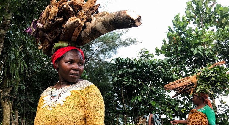 From The Field Comoros Farmers Battle Climate Change Un News