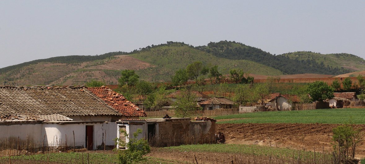 朝鲜民主主义人民共和国的辛原县有19个村庄，人口约8万6800人，其中约一半是农民。辛原县容易遭受旱灾和水灾，自1999年以来一直接受粮食计划署的粮食援助。