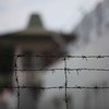 Эксперты ООН выступили в защиту прав заключенных в ОАЭ