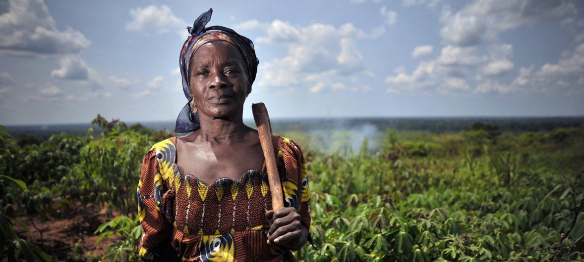 A woman stands in a cassava field in Mbaiki, Central African Republic.  The ACDL group of women she belongs to sells food products from the harvested cassava.    23 May 2012.