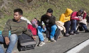 Alguns refugiados venezuelanos caminham 11 horas por dia para chegar até ao Equador e ao Peru.  